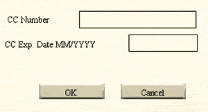 Payment options for Aces High combat flight simulator